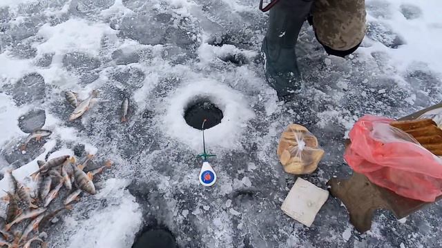Рыбалка в канун Нового года. Бешенный клёв окуня. смотреть онлайн