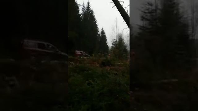 Как нельзя рубить дерево смотреть онлайн