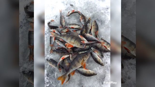 Снегоход "Рыбинка" в поход и на рыбалку??? смотреть онлайн