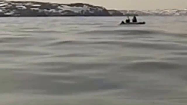 18+ Ловля трески, 1 мая 2016г Мурманская обл п.Териберка, баренцево море. смотреть онлайн