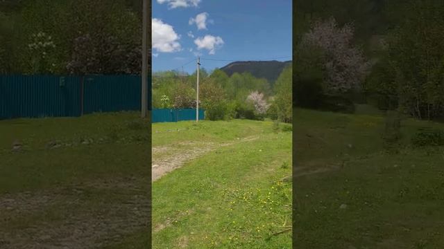 Хамышки обзор территории смотреть онлайн