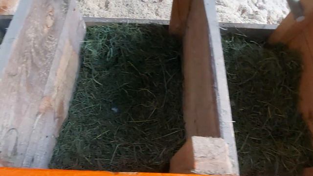 Курятник 😁 смотреть онлайн