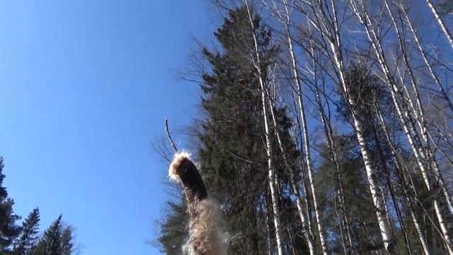 БЕРЕЗОВКА 1часть смотреть онлайн