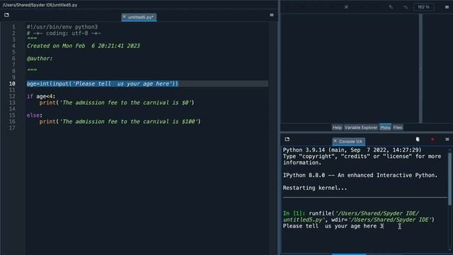 If , Elif , Else in Python - Python For Dummies | Part 11 смотреть онлайн
