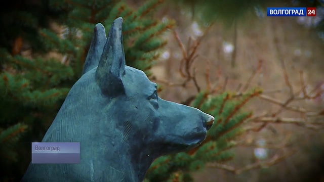 Городские истории. Памятник собакам подрывникам, истребителям танков [HD, 1280x720] 12.03.17 смотреть онлайн