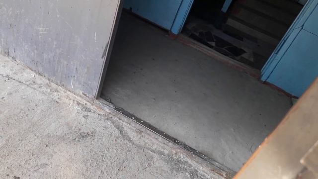 Голубь залетел в подъезд. Я ему помогла выйти ? смотреть онлайн