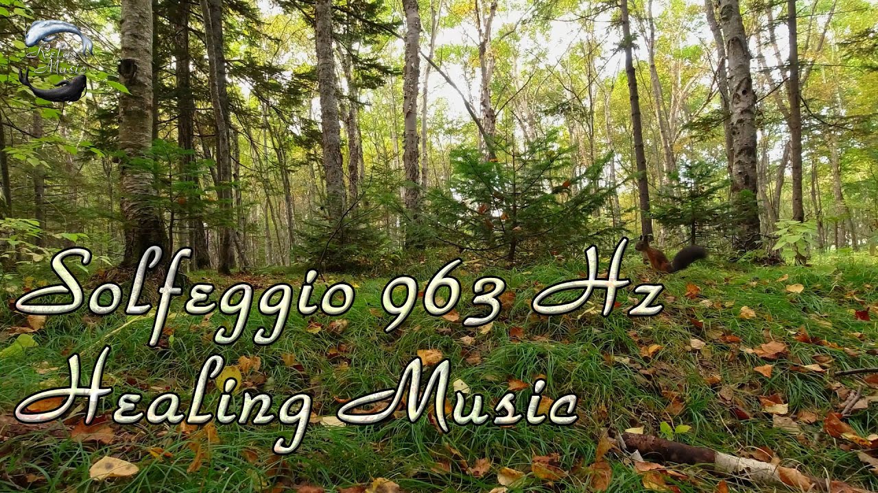 ? 20 минут расслабляющей музыки с частотой Сольфеджио 963 Гц ~ Активируйте свой высший разум смотреть онлайн