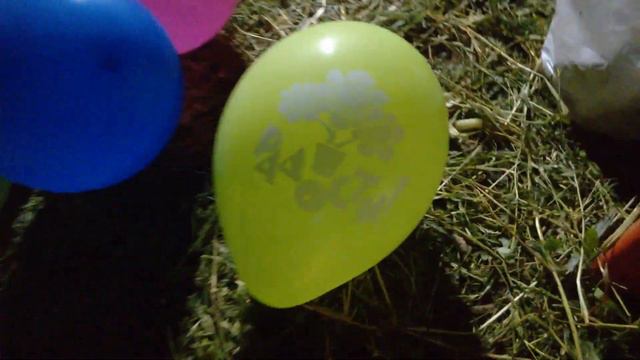 Видео Клип - ДР Дыма (30 лет) - Police Party - 28.07.2018 смотреть онлайн