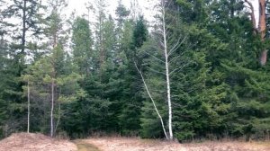 Свердловская область. Турбаза Коуровка