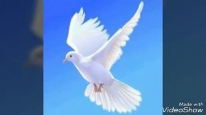 Голубь мой бумажный