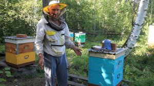 Отбираю мед сокращаю всех в 2 корпуса.