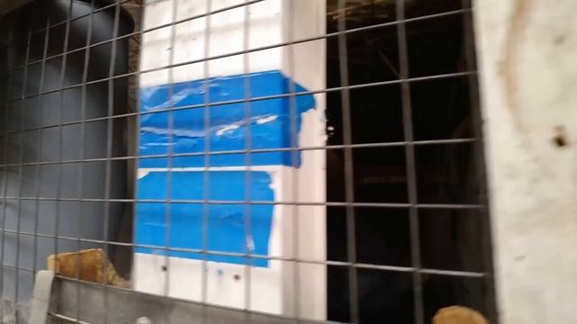 СКОЛЬЗКИЙ ПУТЬ КРОЛИКОВОДА в животноводстве ЭКСПЕРИМЕНТ С КРОЛЬЧАТАМИ смотреть онлайн