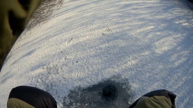 Зимняя блесна 2020. Окунь на блесну со льда. смотреть онлайн