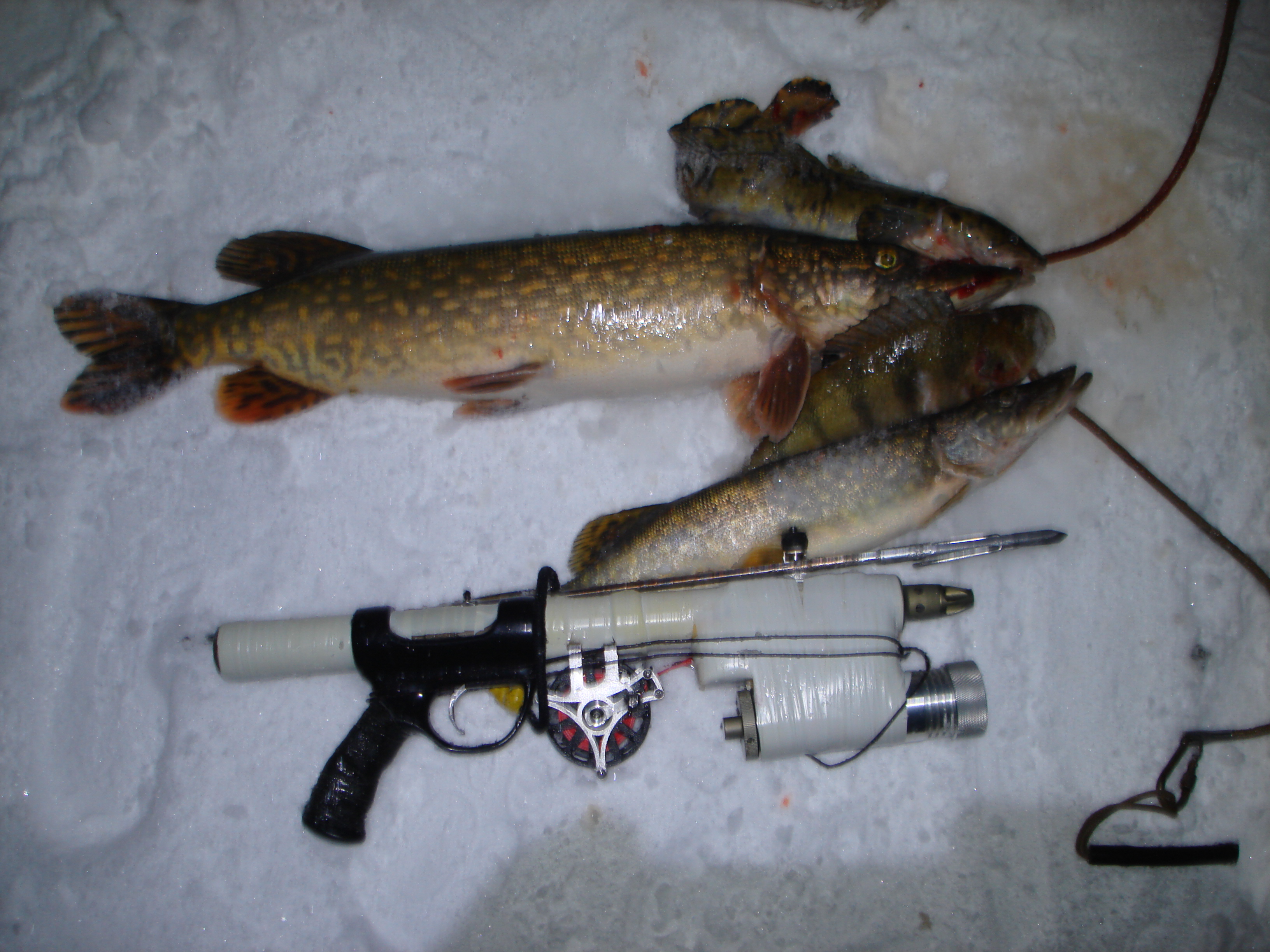 Редкий выход щуки, подводная охота с Алексеем 27.12.2023