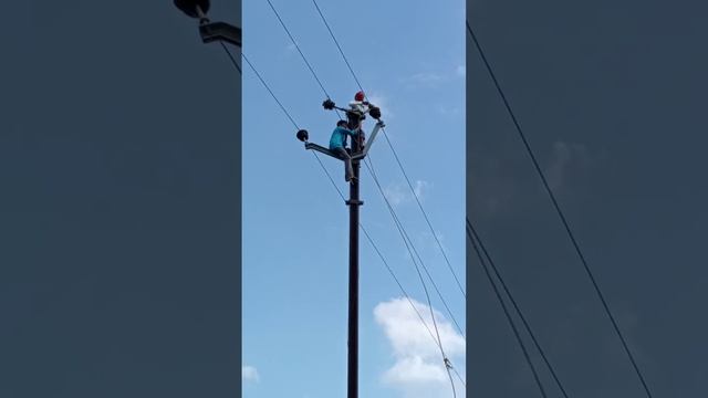 11000 volt line electricity lineman worker #shorts смотреть онлайн