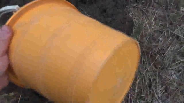 Когда лучше сажать саженцы!!! Осенью или весной!!!