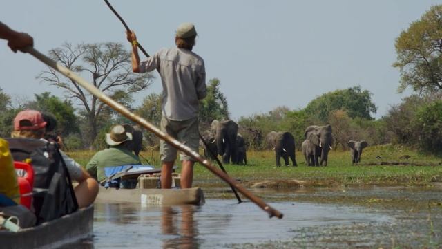 Okavango Eternal смотреть онлайн