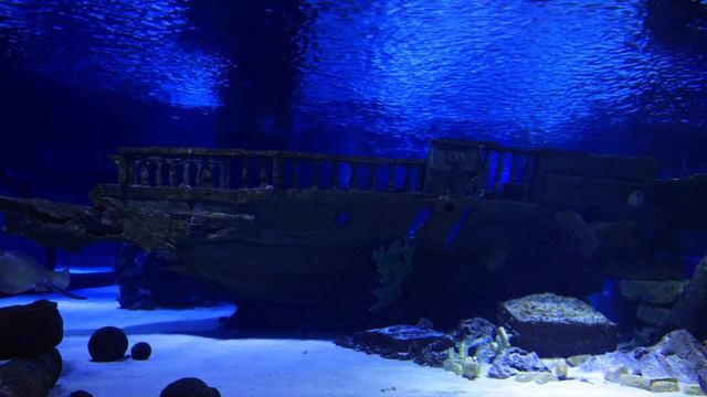 Aquatic Ambience piano cover - Donkey Kong Country - David Wise - SNES смотреть онлайн