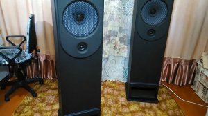 Акустика  своими руками TQWP