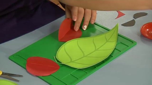 «Диво» 10.12.2019 смотреть онлайн