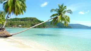 Паттайя , Ко Куд и Ко Чанг 2023.