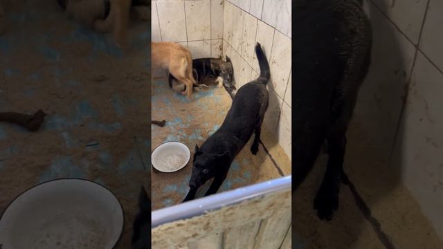 Джеймс и другие смотреть онлайн