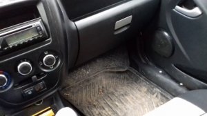 Сверчки лада гранта