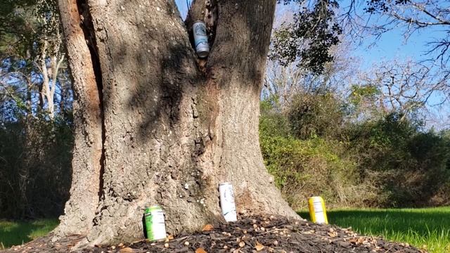 Crosman Full-Auto BB CO2 P1 & R1 Review смотреть онлайн