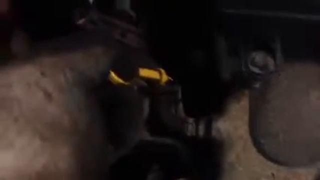 Контрактный двигатель Suzuki Wagon R Минивэн АКПП (авт.) Бензин 1.2 л Инжектор 1998