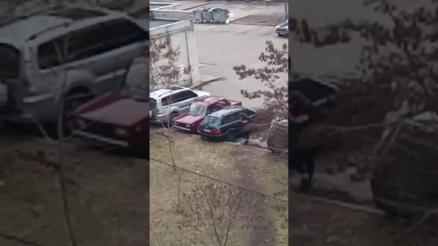 шукачі закладки "грибники".? смотреть онлайн