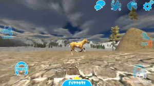 Серебряный конь Таура