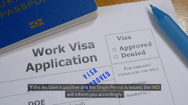 Free Netherlands Work Visa 2024: No Visa Application: Just Send Message To These Agencies Now смотреть онлайн