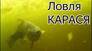 Ловля Карася, Поплавок, ловля на «прищип»,«бантик»- мякоть хлеба. Fishing. Подмосковье, Павлино.