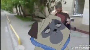 ПАНИН МАСТУРБИРУЕТ НА УЛИЦЕ