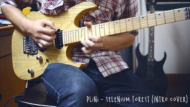 Plini - Selenium Forest (Intro Cover) - *Demo SX SEG1* смотреть онлайн