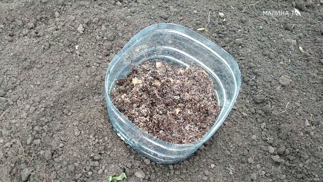 ДВА СУПЕР СПОСОБА ПОСАДКИ всех культур для раннего урожая