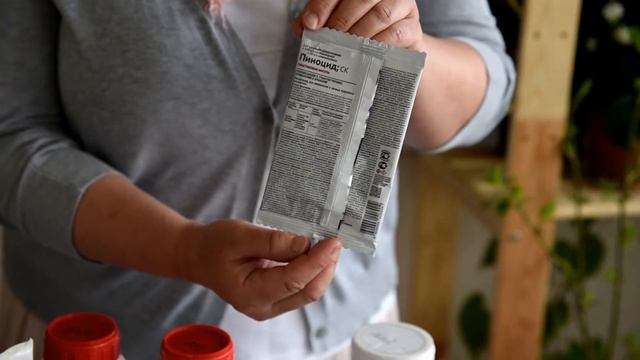 Как спасти хвойные растения, если у них пожелтела хвоя смотреть онлайн
