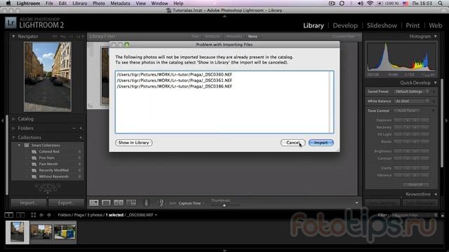 Lightroom. Урок 1 - Импорт фотографий в Лайтрум