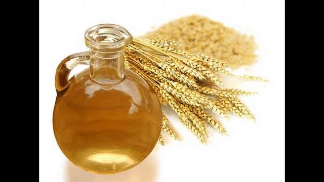 Масло зародышей пшеницы Свойства и применение смотреть онлайн