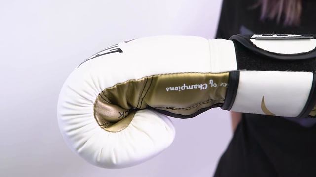 Everlast WSD Powerlock Training Gloves смотреть онлайн