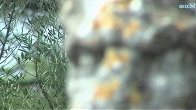 San Salvador Mallorca смотреть онлайн