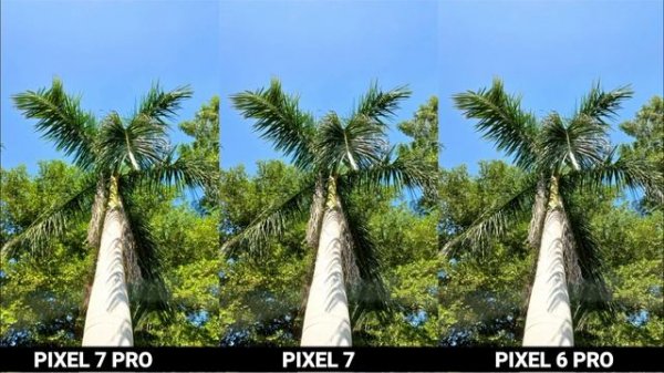 Google Pixel 7 Pro Vs Google Pixel 7 Vs Google Pixel 6 Pro Camera Test