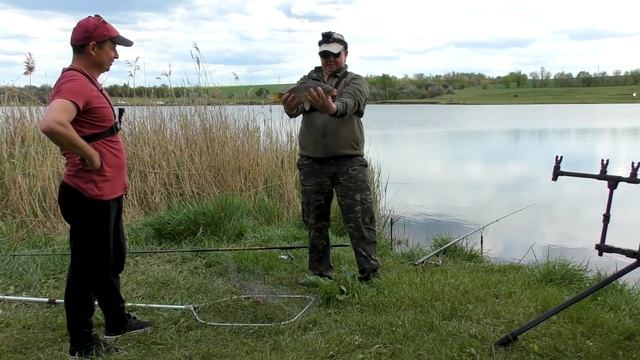 Карповая рыбалка на поплавок. Совместная рыбалка с Эльдорадо ТВ. смотреть онлайн