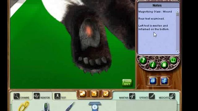 Zoo Vet Walkthrough Part 1: Tutorial смотреть онлайн