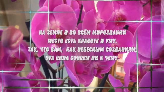 С Праздником Весны, Дорогие Женщины! С Днём 8 Марта!