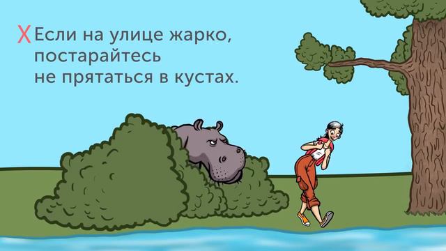 13 советов как пережить наподение диких животных смотреть онлайн