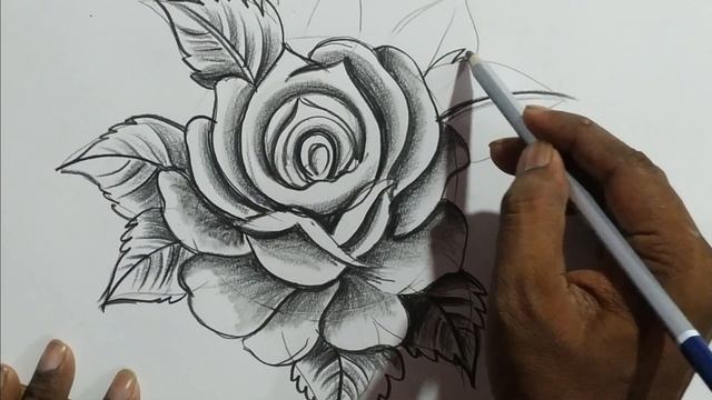 how to draw rose flower and butterfly with pencil sketch drawing,easy pencil sketch scenery drawing смотреть онлайн