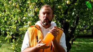 САМЫЙ ПОЛЕЗНЫЙ ЯБЛОЧНЫЙ УКСУС: сразу 3 рецепта от самого простого до особого для гурманов с маткой.