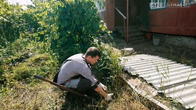 Лето | Родительский дом | Сажаем розы | Влог #купилдомвдеревне #жизньвдеревне #родительскийдом смотреть онлайн