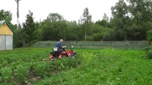 Окучивание картошки,МТЗ 132 Н 22 06 2019 г